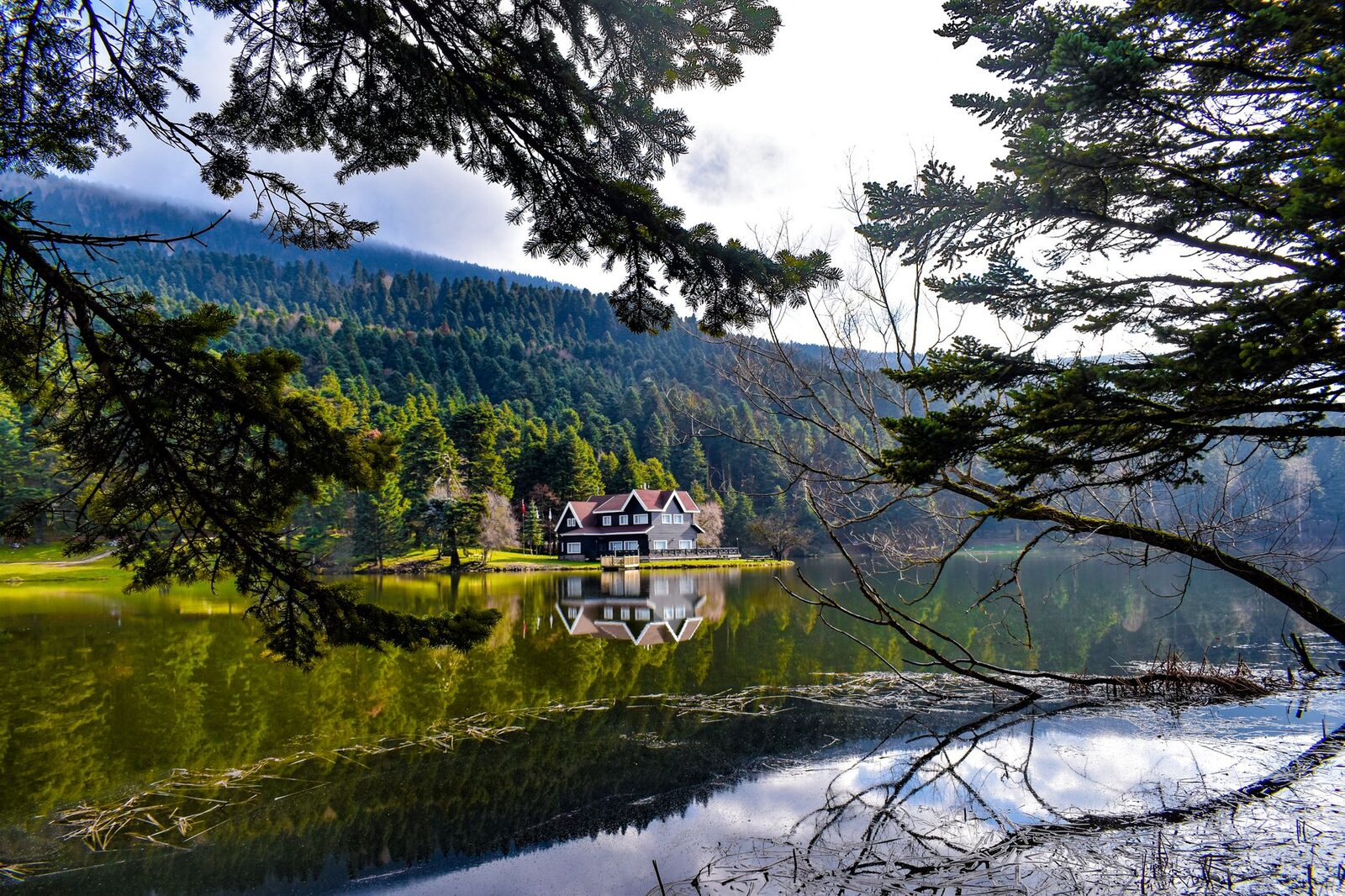 Picturesque lake house surrounded by lush forest in Gölcük Köy, Türkiye.